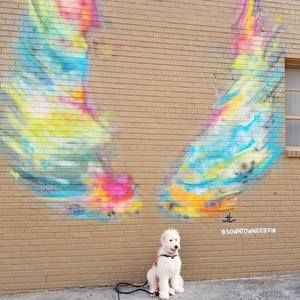 Meet your Posher, Corey